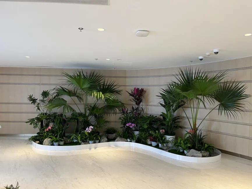 宁波余姚植物租摆设计