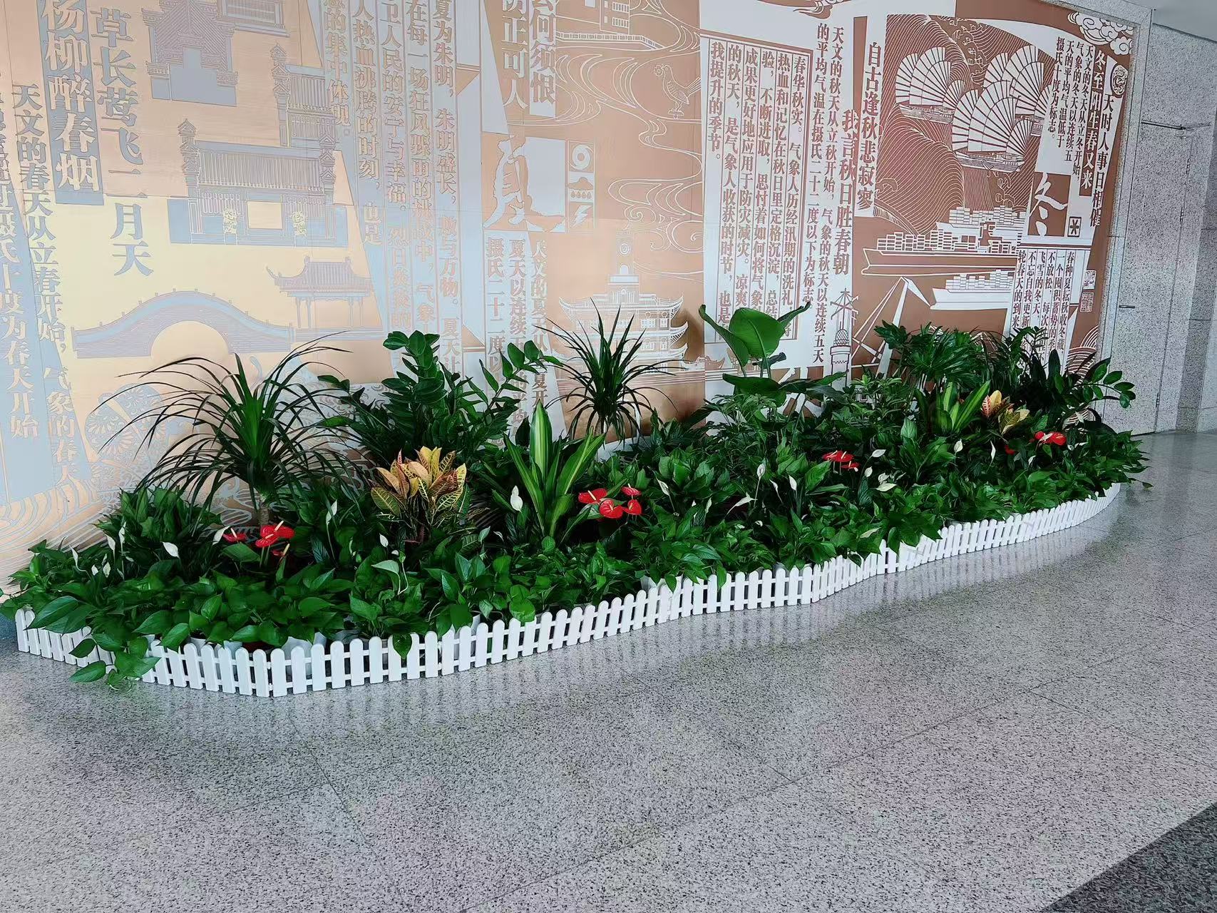 寻找宁波绿植出租？这里有超棒的租绿方案！亡